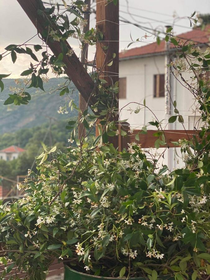 Karavos Hotel Portariá Esterno foto